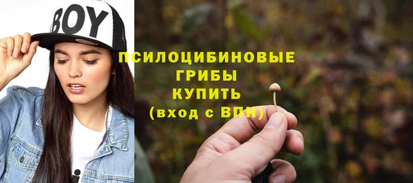 mdma Бородино