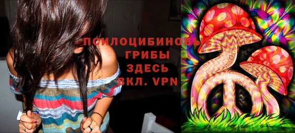 mdma Бородино