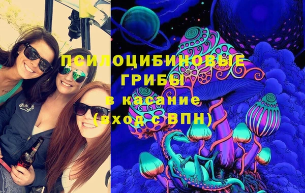 твердый Бронницы